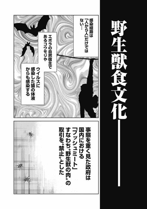 【漫画】「警察も近づかないリベリアの共同墓地に踏み込んでいく、スラム街の住人やギャングより一番ヤバい人がプロデューサーなんです」『ハイパーハードボイルドグルメリポート新視覚版』_26