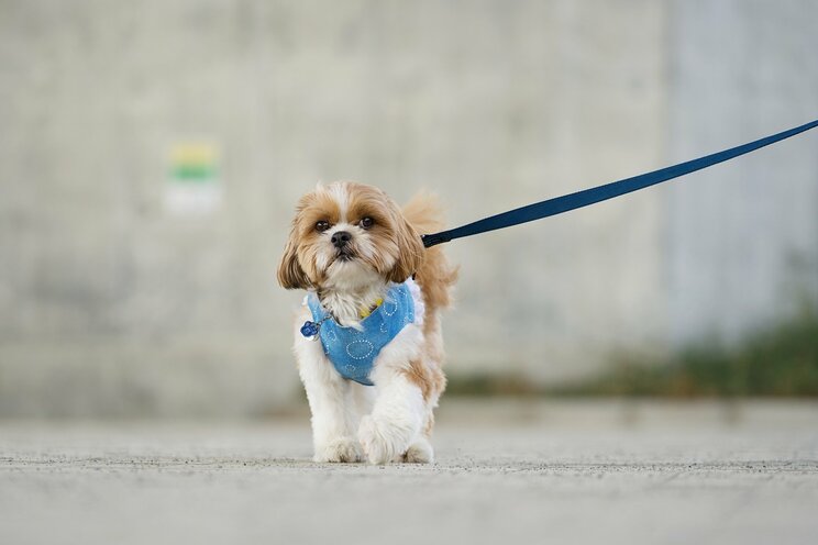 写真はイメージです（写真／PhotoAC）