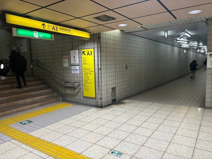 清澄白河駅Ａ3出口（写真／集英社オンライン）