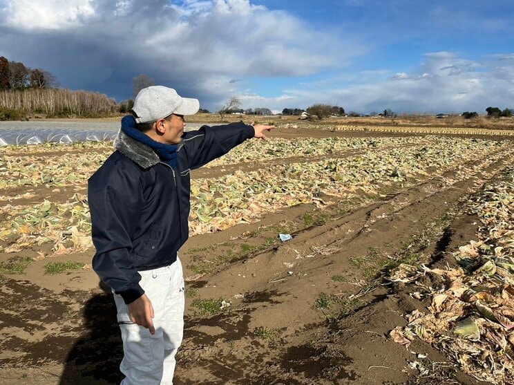 キャベツが盗まれた場所を説明してくれる岩崎義徳さん