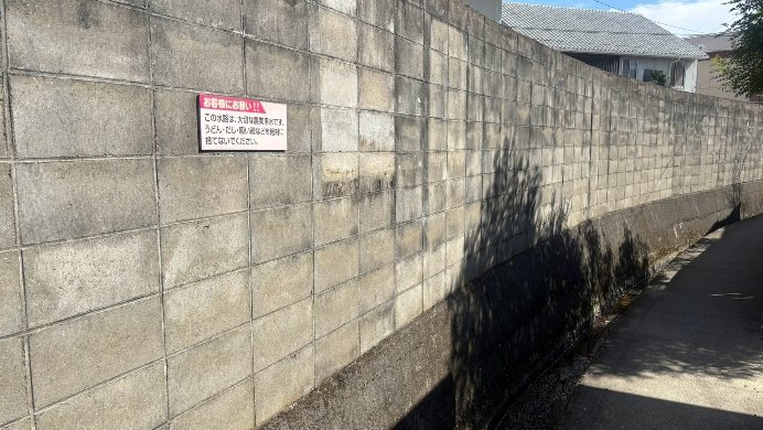 用水路（撮影／集英社オンライン）