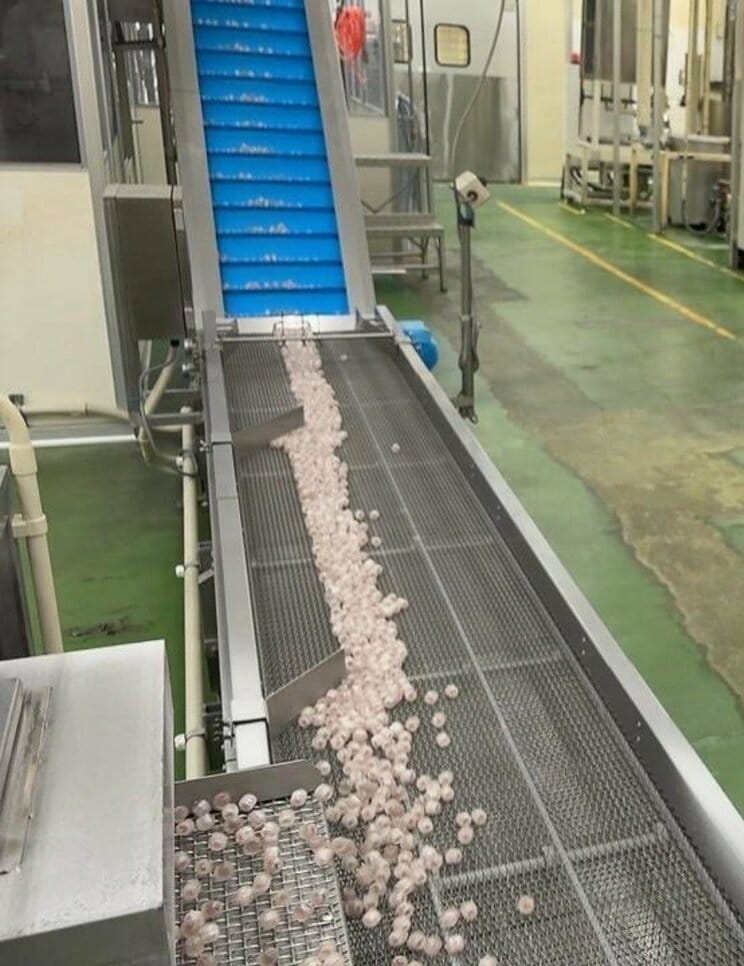 「生梅飴」はなぜ40年も愛される？ 大ファンのオモコロ原宿が工場潜入、1日約15万袋…“変わらない味”の舞台裏_12