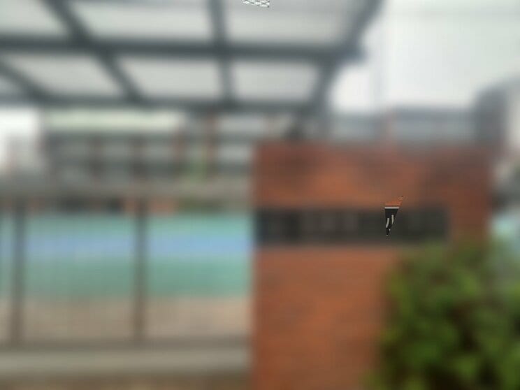 逮捕された教師が勤務していた小学校（撮影/集英社オンライン）
