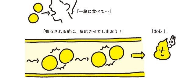 「10人に1人が胆石持ち」「激痛の尿管結石」…　なぜ人間の体に石ができるのか？　予防医学の提唱の医師に聞いてみた！_4