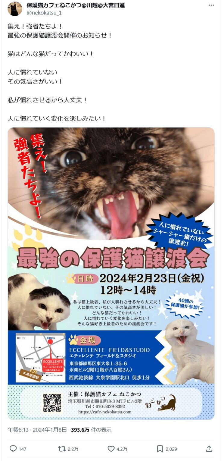 “シャーシャー猫”限定「最強の保護猫譲渡会」が大バズ！「心を開いてくれる瞬間がたまらない」の声。保護猫の殺処分は10年で10分の1も、主催者は「データ上では減ったように見えますが…」_17