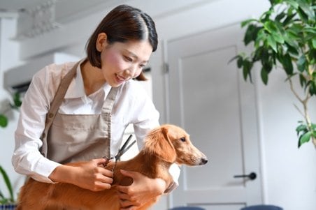 写真はイメージです（写真／PhotoAC）