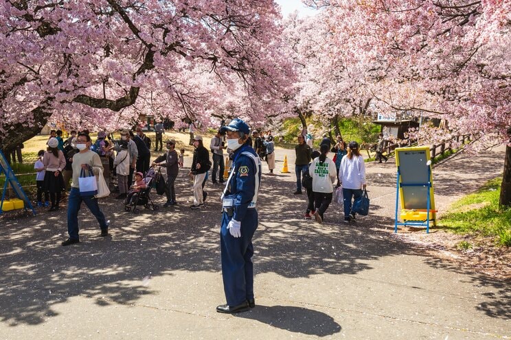 写真はイメージです（写真／Shutterstock）
