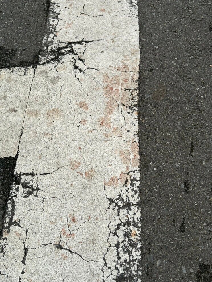 道路にも多数の血痕が…（撮影／集英社オンライン）