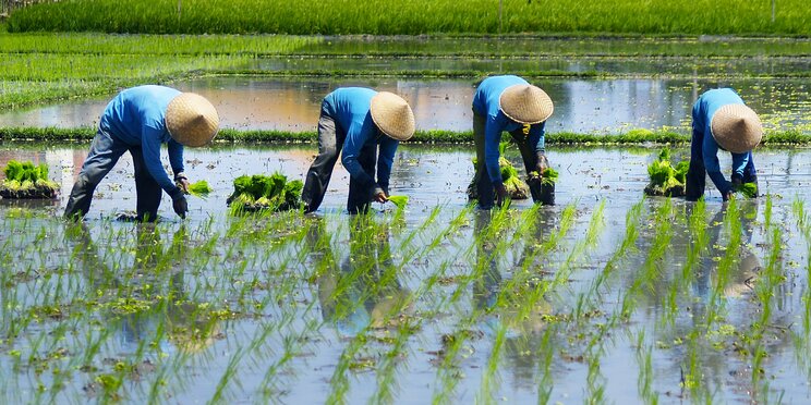 人はなぜ「よいしょ」と言ってしまうのか？　卓球の「チョーレイ！」も同じ理屈だという日本語独特の“気を合わせる”ということ_2