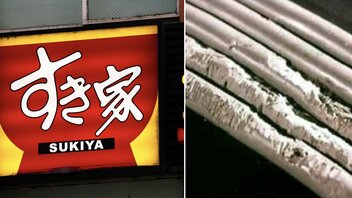 すき家だけじゃない、ヤバすぎるネズミ被害の実態「配線をかじりお店が停電」「赤ちゃんのほっぺたをかじる」…ネズミ駆除の専門家は「人差し指ほどの穴が空いていれば侵入します」 