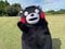 くまモン（くまモン公式Xより）