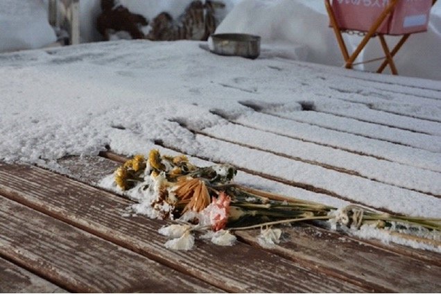神居古潭の東屋では手向けられた花が雪に埋もれていた（撮影／学生傍聴人）