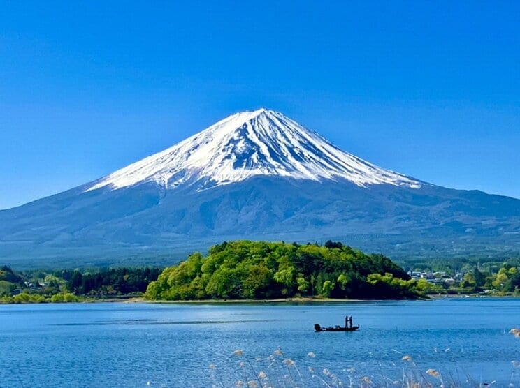 写真はイメージです。