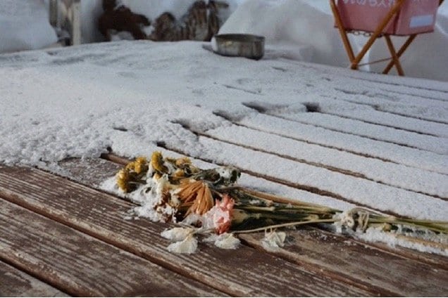 神居古潭の東屋では手向けられた花が雪に埋もれていた（撮影／学生傍聴人）