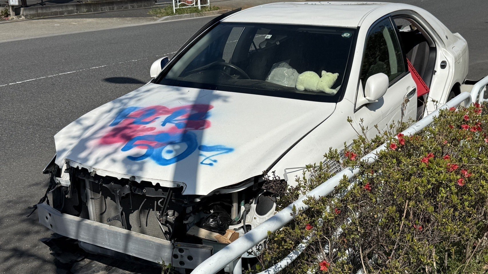 投棄が投棄を呼んでいる」落書き、ゴミだらけの車両が大量放置される