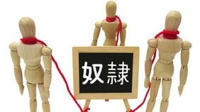 インフルエンサーのカモが多すぎる-デマ、陰謀論、カルトをすぐに信じてしまう人の特徴
