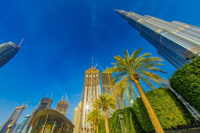 写真はイメージです