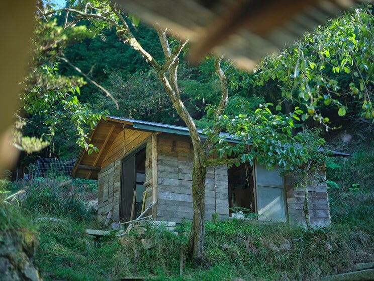 東出が自身で建てている完成間近の山小屋