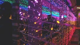 「ハブをあそこに入れちまった」1970年・沖縄日本復帰前のあの日、紫煙立ちこめるコザの店内で見たハブと性愛のダンスを踊る、“遊女”キワコの一生