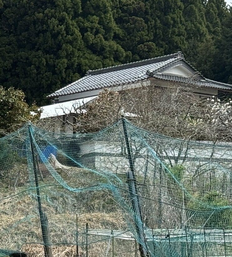 安達容疑者の自宅（撮影／集英社オンライン）