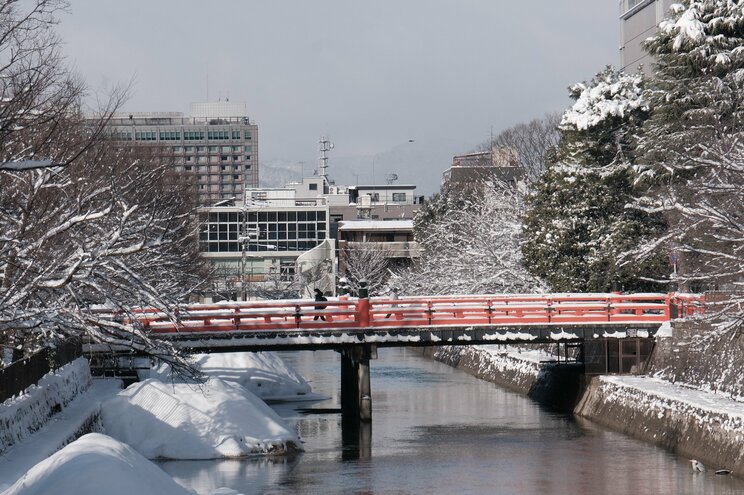〈大寒波襲来・写真多数〉電車はストップ・渋滞40キロ・タクシー大行列・立ち往生、それでも開いていた牛丼屋に安堵…豪雪の京都ルポ「完全に大雪をなめていました」_47