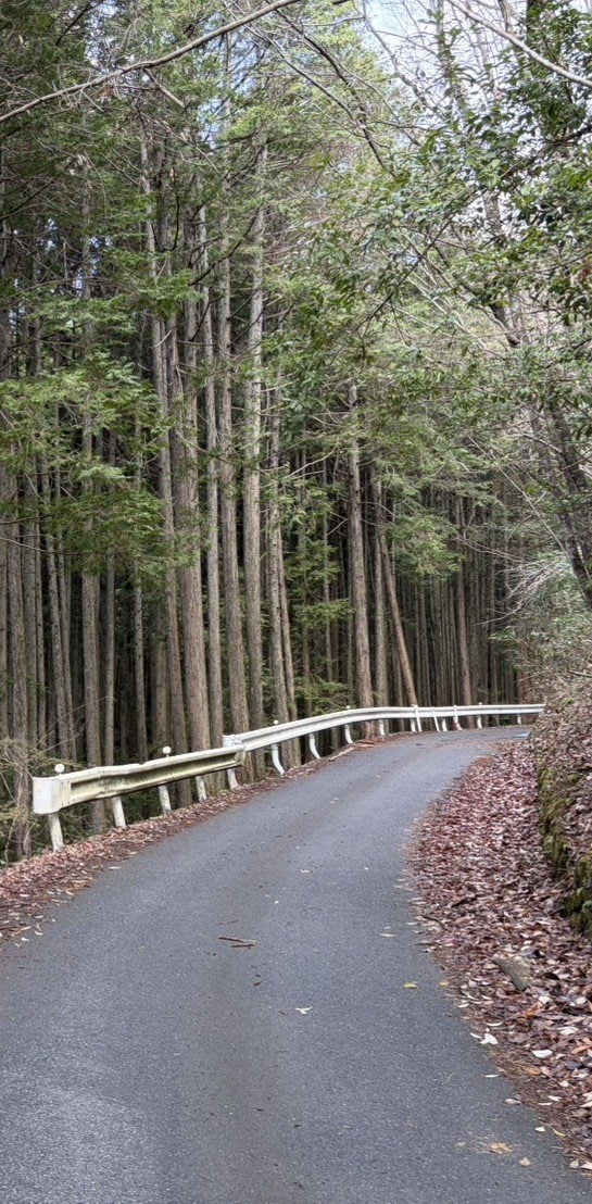 通学かばんがみつかった山中（撮影／集英社オンライン）
