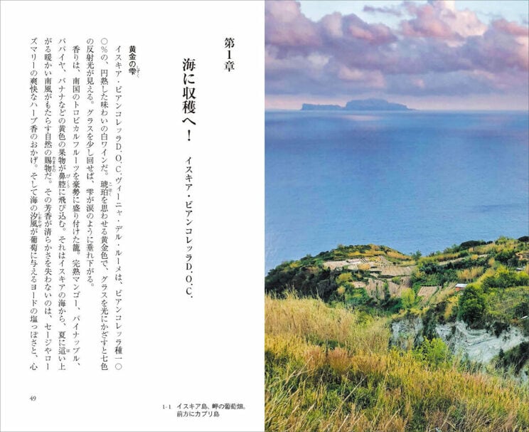 『グラスの中のイタリア』の各章は写真＋扉の見開きで始まる。第１章に登場するのはイスキア島のワイナリー、アントニオ・マッツェッラの畑。急斜面の窪地でアクセス困難ながら、良質な葡萄が育つ