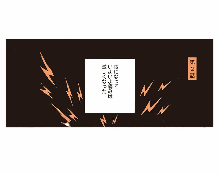 大きなウニが体内で暴れるような「痛み」「吐き気」「熱」。急性膵炎の三重苦に苦しむ入院生活が始まる(2)_1