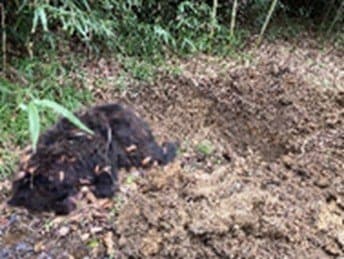 「ライフルを使ってクマを駆除するのか？」自衛隊出動で“クマ擁護派”が役所に勘違いクレーム、「殺すな」と「お前らが駆除をしっかりしないから…」の板挟みにも苦悩_8