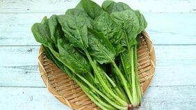 ほうれん草は生のまま、大根はいろんな形にカット…冷食のプロが教える野菜を新鮮においしく冷凍する秘訣