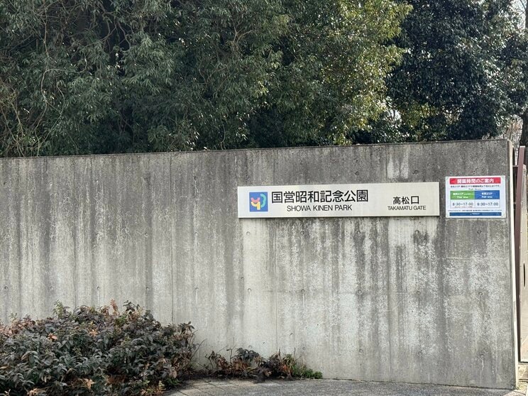 IKEAのすぐ向かいにある昭和記念公園・高松口。広さは葛西臨海公園や井の頭公園、上野公園の倍以上で、公園としては都内最大だ(撮影/集英社オンライン)