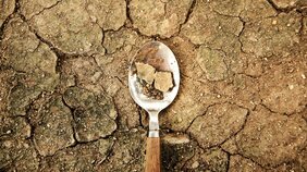 日本の食料自給率は公称の38％ではなく18%だという事実。政府が隠す、世界128位というあまりにも低い食料自給率の本当の計算方法