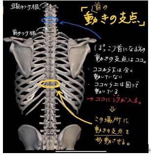 ストレッチのポイント（写真提供：GENRYU綜合整体）