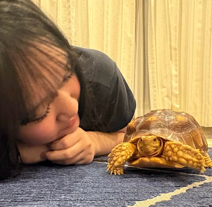 学業も町内会活動も奮闘する加藤さんが「癒し」と語るのが、ペットの亀（写真／本人提供）