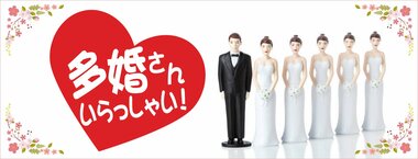 多婚さんいらっしゃい!