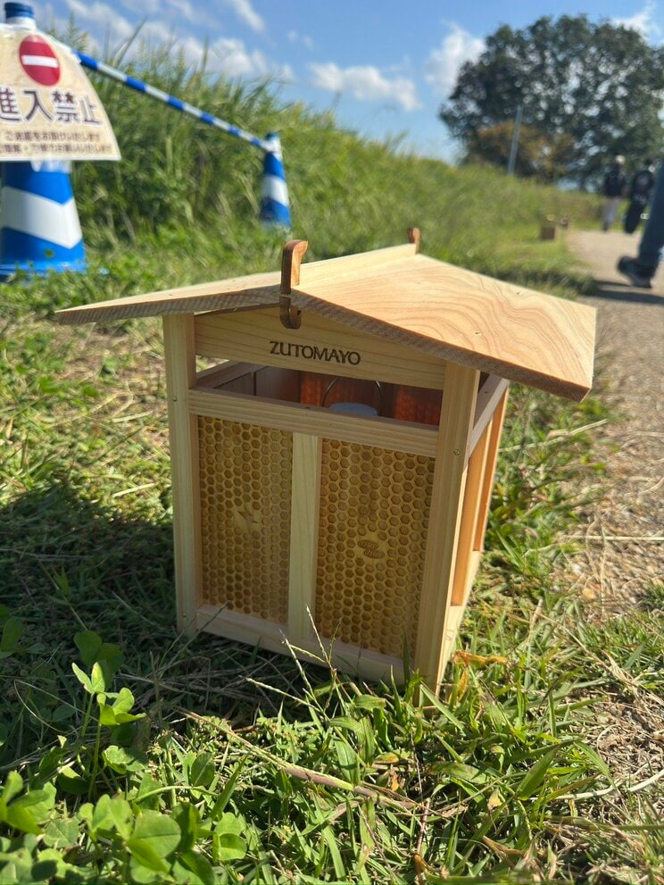 通路に並べられた灯籠（撮影／キムラ）
