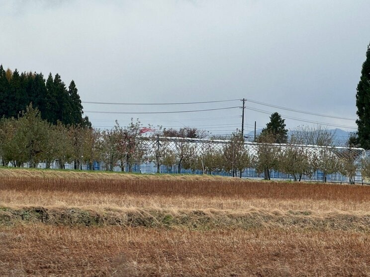 大館市内（撮影／集英社オンライン）
