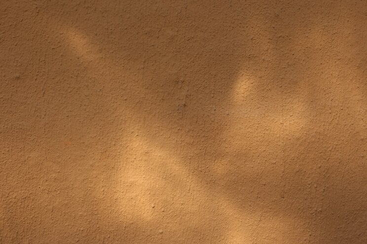 写真はイメージです　写真／Shutterstock