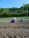 「弱い者いじめだと感じました」漬物生産者の70%以上が廃業に…千葉県の道の駅、農産物直売所から聞こえたさみしい声「また一つ大切な物がこの国からなくなりました」_21