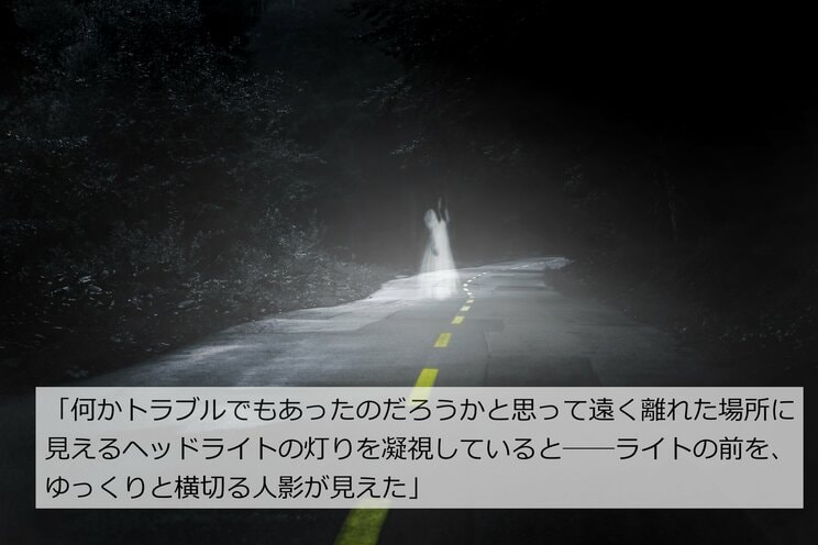 【警察怪談】交通事故の加害者が絶叫「こっちに来てる！ああああ!!ごめんなさいごめんなさい!!」闇夜の照射実験、誰もいないはずの道に立っていたのは_13