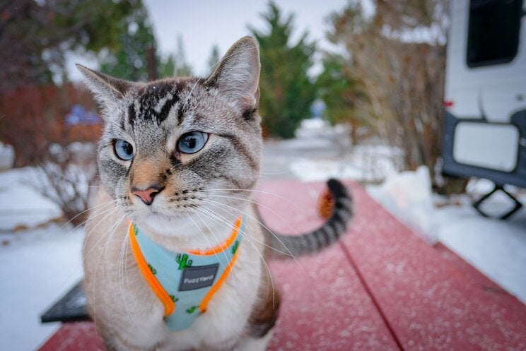 写真はイメージです（写真／PhotoAC）