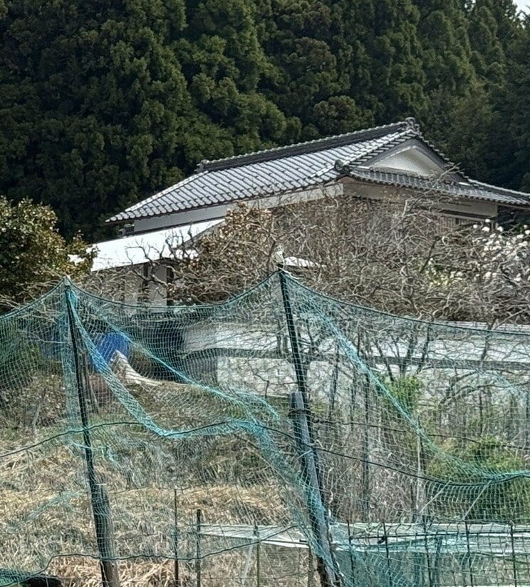 安達家（撮影／集英社オンライン）