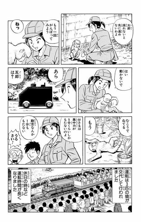 【こち亀】戦後間もない動物園をにぎやかした「おさるの電車」…若き日の両さんと猿飼育員のお姉さんの恋路の行方とは_13