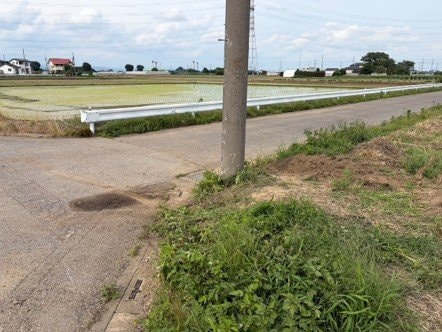 事故現場。男性の車が衝突した電柱（撮影／集英社オンライン）