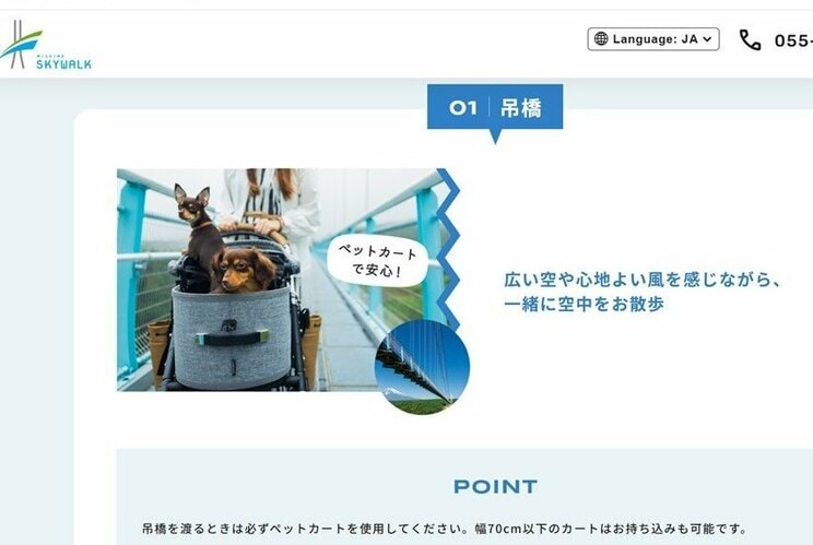 「三島スカイウォーク」ではペットカートの使用を促しているが…（写真／「三島スカイウォーク」ホームページより）