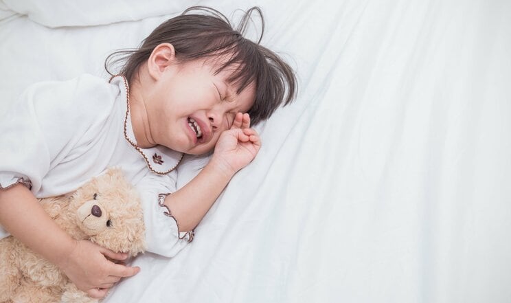 画像はイメージです（Shutterstockより）