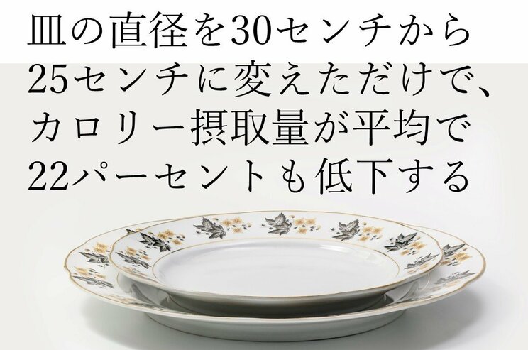 お皿を小さくしたり、脳内で“想像”をしたりするだけで、カロリー摂取量がみるみる減る？　エビデンスが明らかにした最新のダイエット方法_4