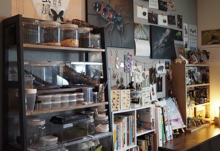 実際の片田の部屋。中央にある絵も自身で制作したもの（写真／本人提供）