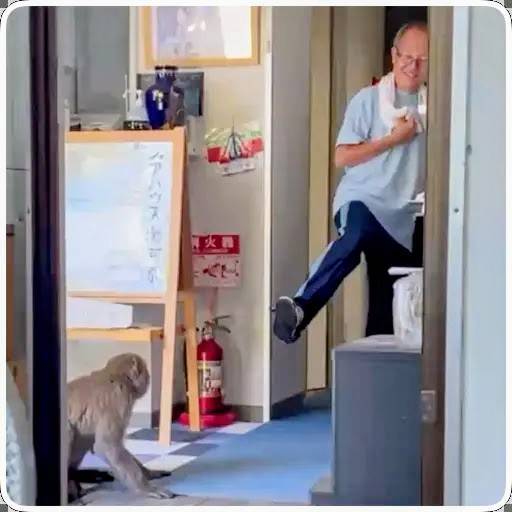 サルに侵入されたシェアハウス（写真／シェアハウス湯河原町提供）