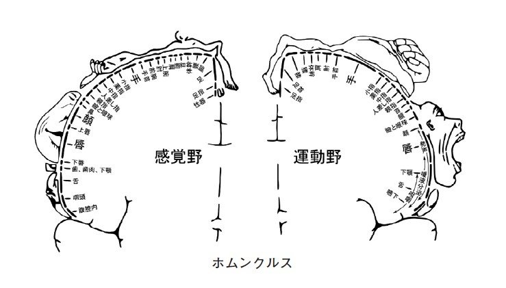 写真／書籍『テクノ専制とコモンへの道』より